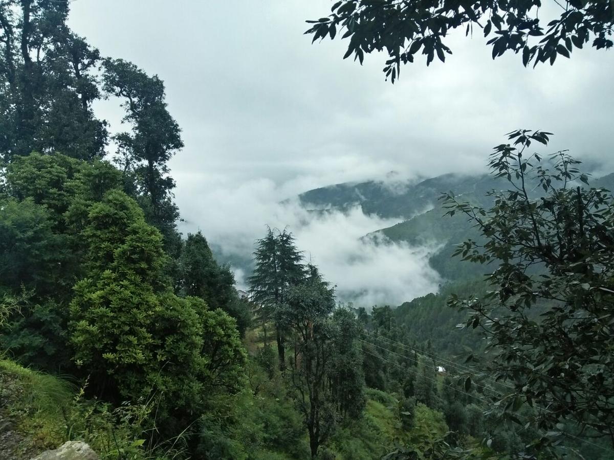 Готель Oyo 11877 Royal Residency New Tehri Номер фото